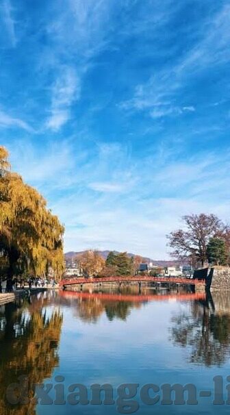 91麻豆精品国产专区-徜徉于本土艺术，91麻豆精品国产专区的丰富内涵与创意探索